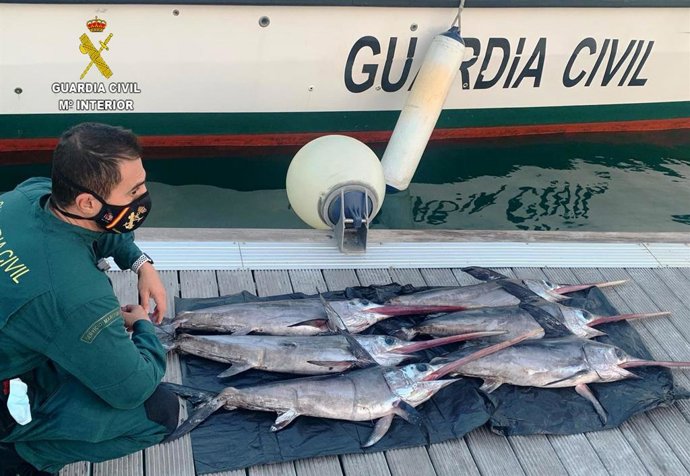 Archivo - Pez espada decomisado por pesca ilegal. 