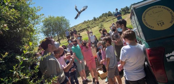 Archivo - Suelta de aves en el marco del programa de voluntariado 'Ayúdale a volar' y de ejemplares atendidos en el Centro de Recuperación de Fauna Silvestre de La Fombera.