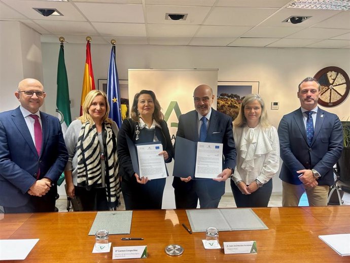 La Junta y Ancce se unen para impulsar la mejora genética de los caballos de Pura Raza Española (Foto de archivo).