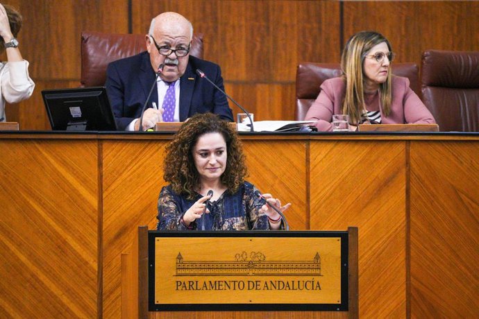 La portavoz del grupo parlamentario Por Andalucía, Inmaculada Nieto, en una foto de archivo.
