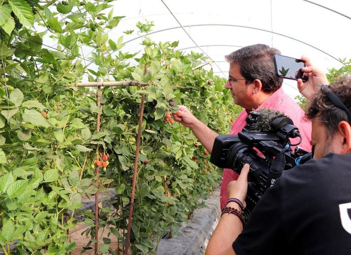 Archivo - El portavoz de la AAPD, Manuel Delgado, atiende a medios de comunicación en explotaciones de Doñana, en una imagen de archivo.