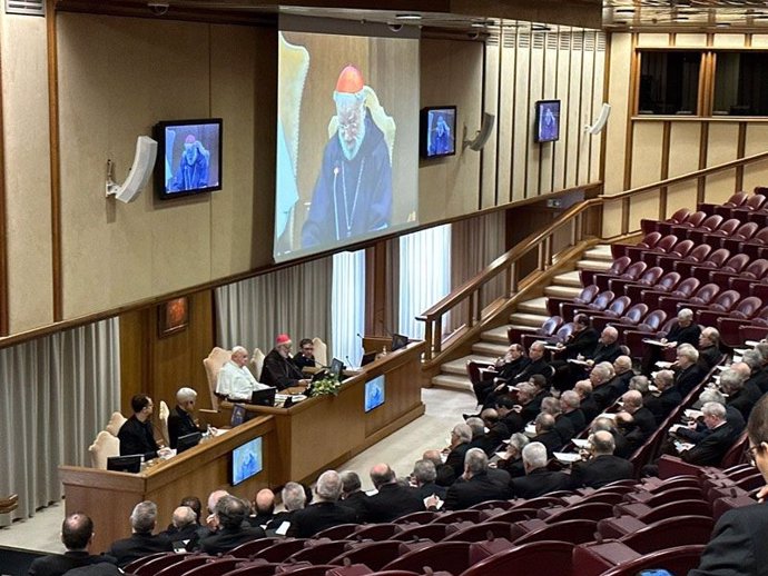Los obispos españoles reunidos con el Papa en Roma.