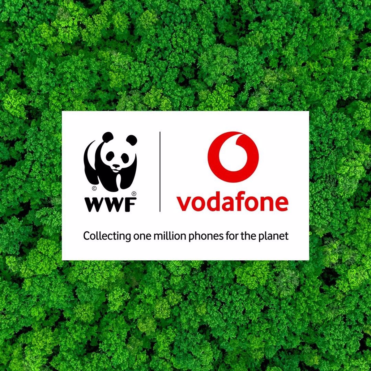 More than 200,000 mobile phones were reused and recycled worldwide in the first year under the agreement between Vodafone and WWF