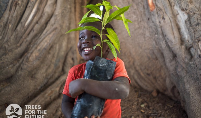 Comunicados Sociedad