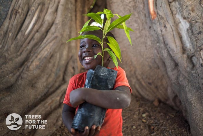 Un pequeño colabora con la iniciativa Trees For The Future