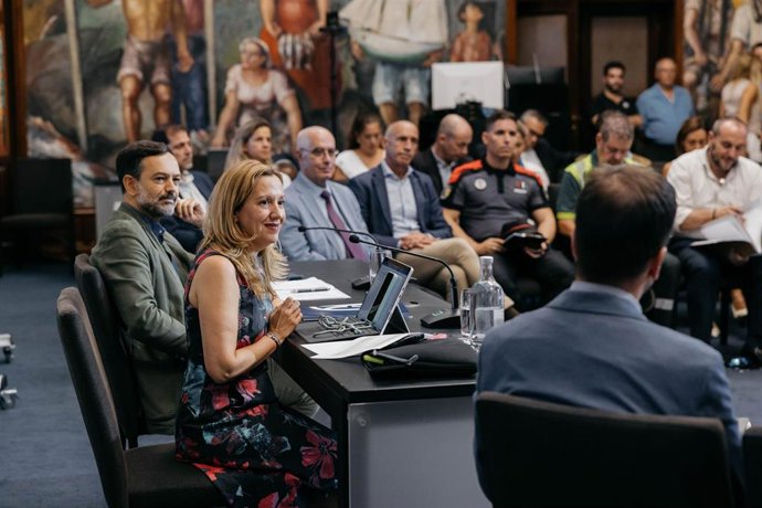 Archivo - La presidenta del Cabildo de Tenerife, Rosa Dávila, en la presentación del avance del plan de movilidad