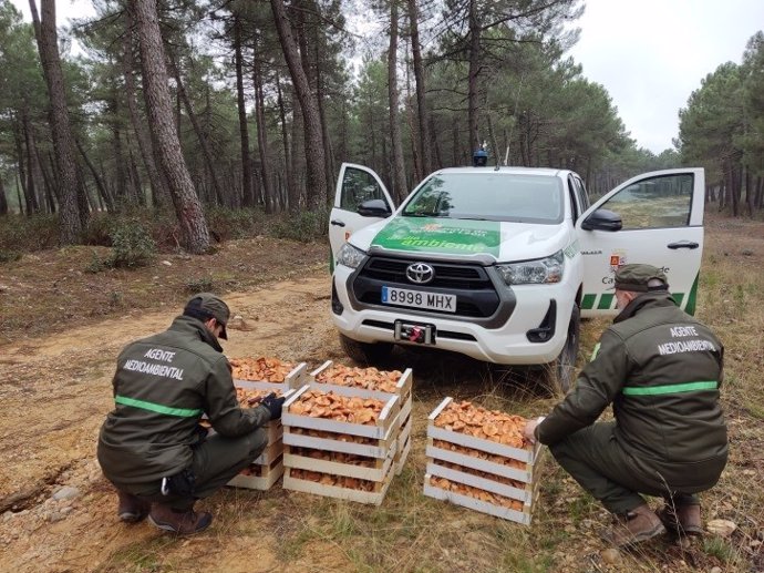 Agentes medioambientales junto a las cajas de níscalos intervenidas en la provincia de Burgos