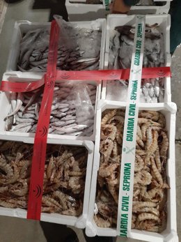 Pescado decomisado en Córdoba.