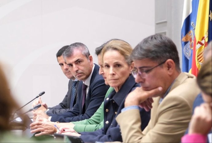 El vicepresidente y consejero de Economía, Industria, Comercio y Autónomos del Gobierno de Canarias, Manuel Domínguez, en comisión parlamentaria