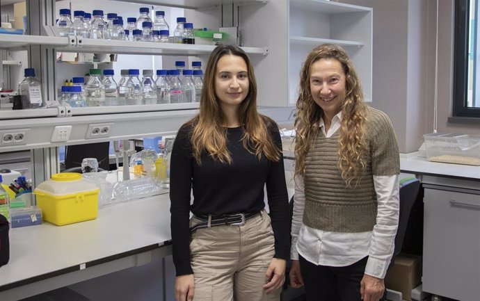 La doctoranda Helena Soto Pérez-Cejuela y Ana Victoria Villar IP del Grupo FIBROHEART en su laboratorio