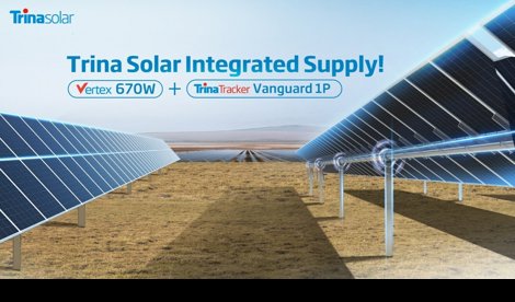 Comunicados Internacional