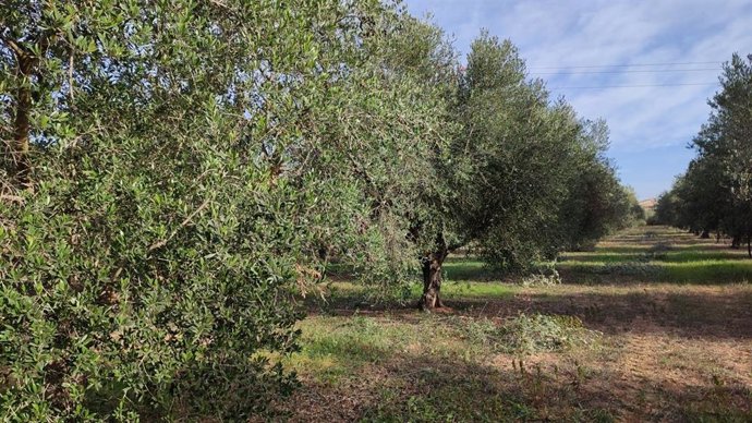 El Fogaiba abona 1,1 millones de euros del segundo anticipo de las ayudas de la PAC.