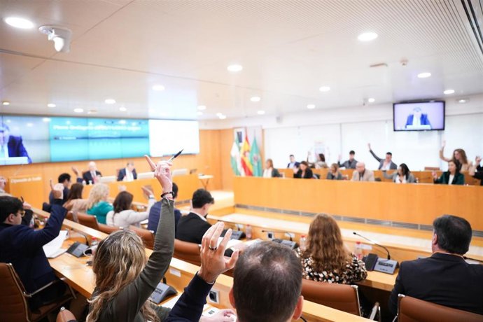 Pleno ordinario de noviembre de la Diputación de Sevilla
