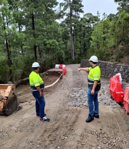 Pista forestal de El Lagar, en La Guancha