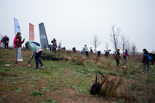 Foto nueva plantación TRAPA
