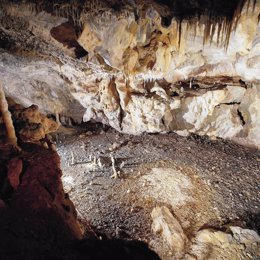 Imagen de la cabaña paleolítica descubierta en la cueva de La Garma