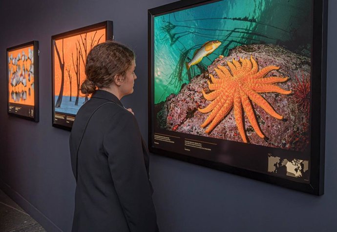 CaixaForum Valncia viaja por "las diferentes visiones del mundo" con los fotógrafos de National Geopraphic