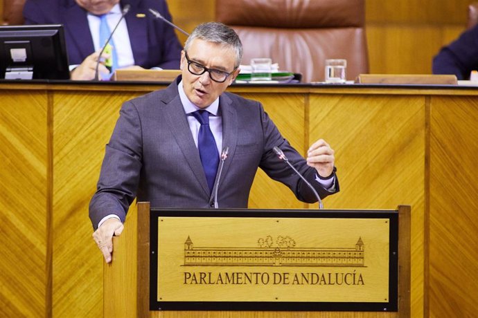 El portavoz de Vox, Manuel Gavira, durante el Debate sobre el estado de la comunidad.