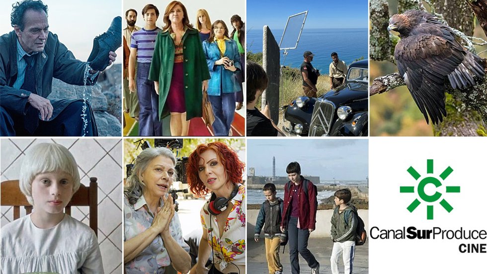 Un total de siete películas participadas por Canal Sur son candidatas a los Premios Goya 2024, que se entregarán el 10 de febrero en Valladolid.