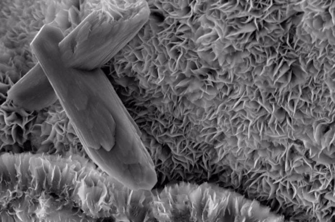 Los geólogos del MIT han descubierto que la actividad tectónica da lugar a la esmectita, un tipo de arcilla que puede secuestrar una sorprendente cantidad de carbono orgánico dentro de sus pliegues microscópicos (que se muestran aquí), durante millones 