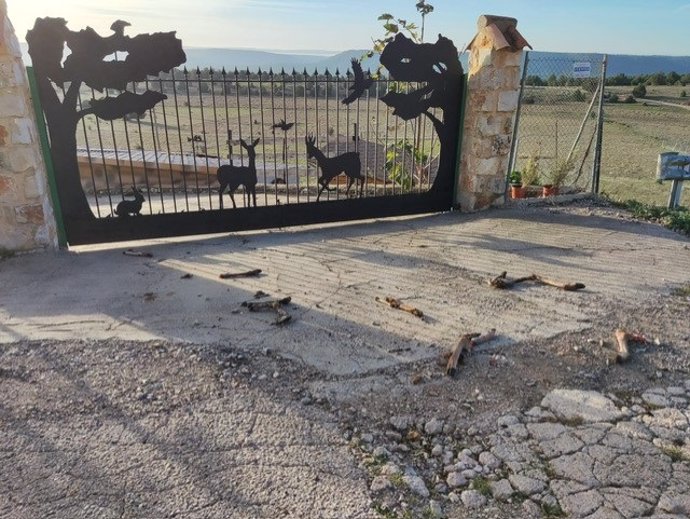 La alcaldesa de La Cierva denuncia un acto de acoso al encontrarse casi una veintena patas de ciervo a la entrada de su casa y de una finca de su propiedad