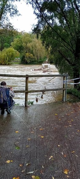 Pasarelas del Club Natación.