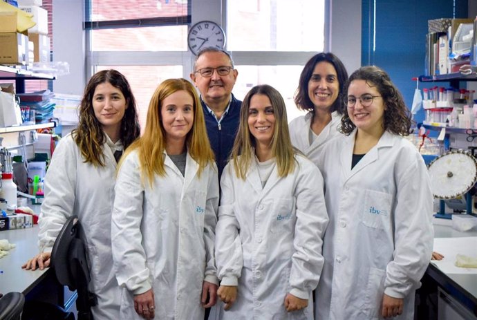 El equipo del Instituto de Biomedicina de Valencia (IBV-CSIC) liderado por el profesor de investigación del CSIC Pascual Sanz que ha realizado un ensayo en ratones con este fármaco para tratar la enfermedad de Lafora.