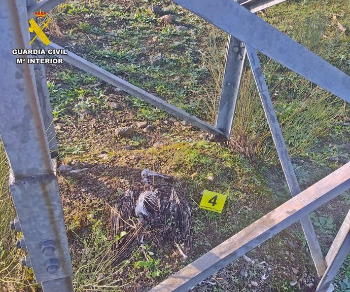 [Badajoz] Rdo Dos Notas De Prensa