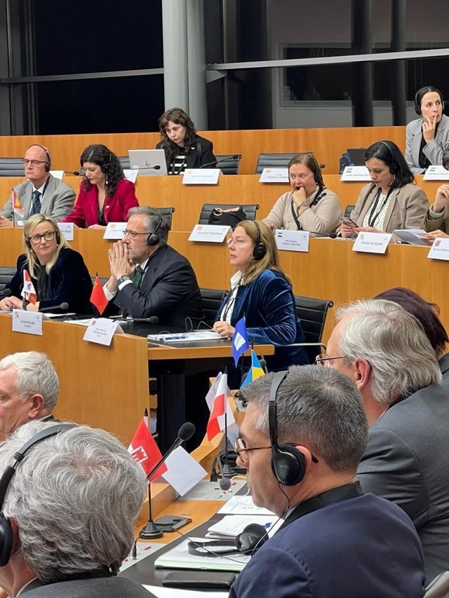 Asamblea Plenaria de la Conferencia de las Asambleas Legislativas Regionales de Europa (CALRE)