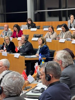Imagen de la Asamblea Plenaria de la Conferencia de las Asambleas Legislativas Regionales de Europa (CALRE)