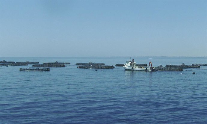 Archivo - Acuicultura