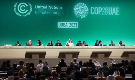 Comunicados Internacional