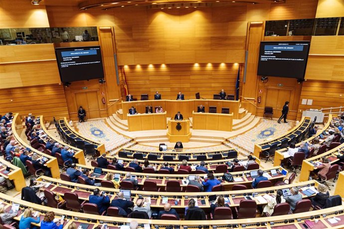 Vista general de una sesión plenaria, en el Senado, a 14 de noviembre de 2023, en Madrid (España). La Comisión de Reglamento del Senado ha avalado la reforma propuesta por el PP para dilatar hasta dos meses la tramitación de la proposición de ley de amn