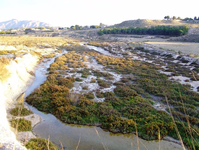 Imagen del Paisaje Protegido 'Humedal de Ajauque y Rambla Salada' y la Zona de Especial Conservación (ZEC) 'Río Chícamo'.