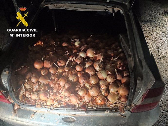 La Guardia Civil de Albacete esclarece doce hechos delictivos cometidos en explotaciones agropecuarias.