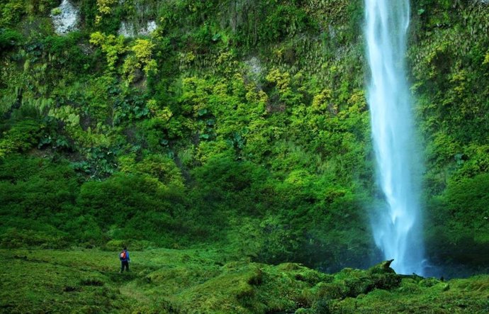 Parque Salto del Claro, en Pucón