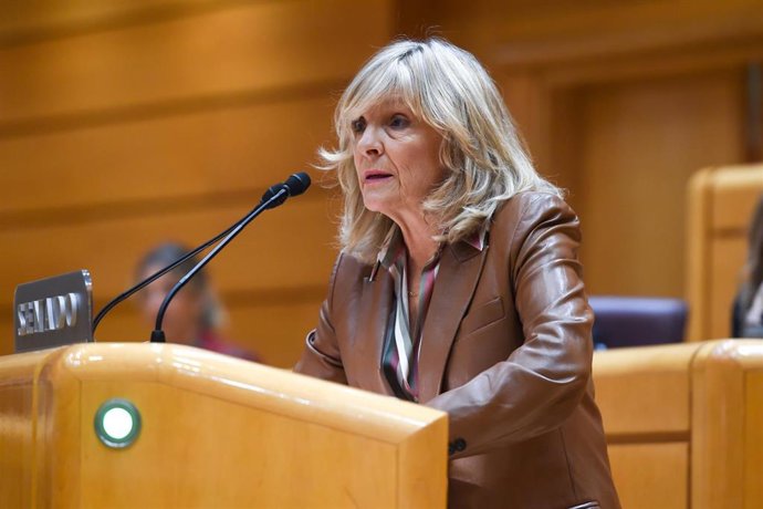 La senadora de UPN, María Caballero, interviene durante una sesión plenaria en el Senado