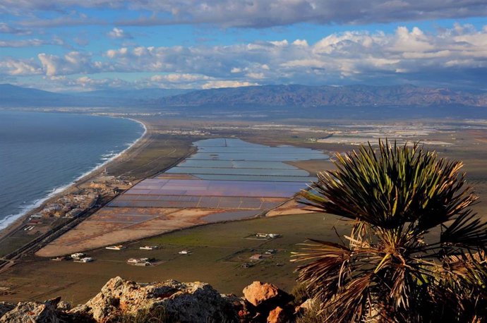 Archivo - Salinas de Cabo de Gata-Níjar (Almería)
