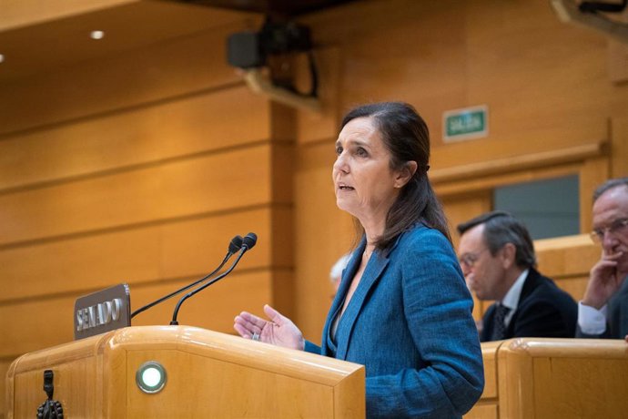 Archivo - La senadora del PP Pilar Milagros Rojo interviene durante una sesión plenaria en el Senado, a 17 de mayo de 2023, en Madrid (España). El proyecto de Ley por el Derecho a la Vivienda se enfrenta a su aprobación definitiva en el pleno del Senado