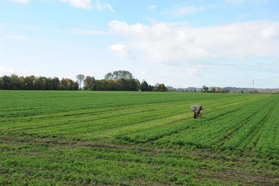 Archivo - Recurso de agricultura.