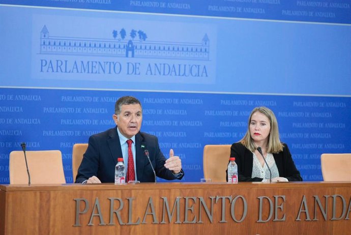 Los parlamentarios del PSOE-A Gaspar Llanes y Alicia Murillo, en rueda de prensa para tratar las enmiendas del PSOE-A al Presupuesto de la Junta para 2024.
