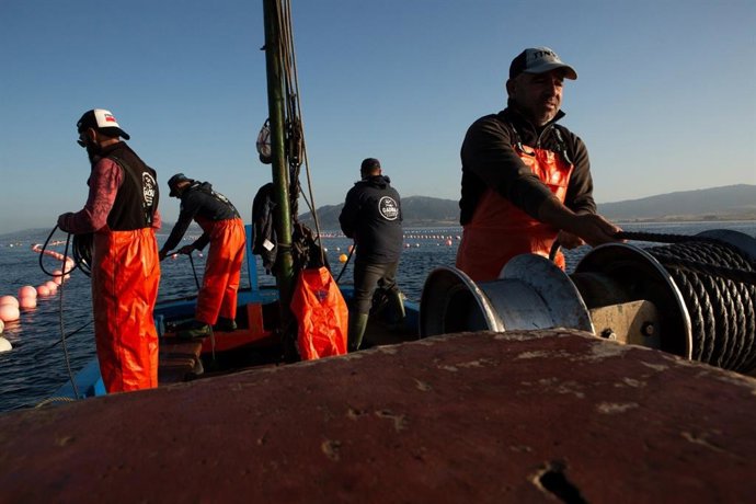 Archivo - Pescadores abordo de un barco pesquero