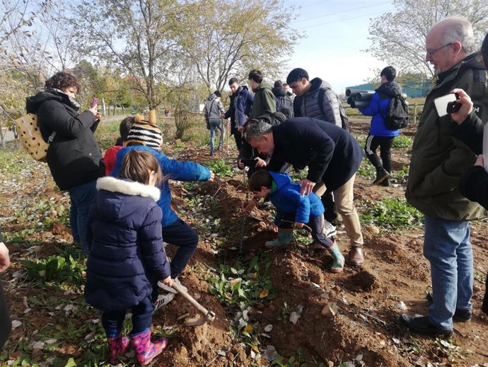 Escolares, junto con el alcalde de Logroño y el concejal de Medio Ambiente, han finalizado la plantación de árboles y arbustos en el nuevo Parque del Camino, que estará para mayo de 2024.