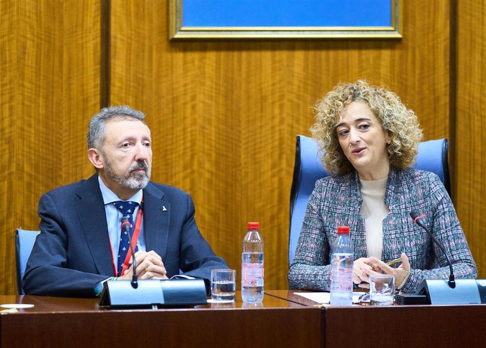 El delegado de la ONCE en Andalucía, Ceuta y Melilla, Cristóbal Martínez, en su comparecencia ante la Comisión sobre Derechos y Atención a las Personas con Discapacidad.
