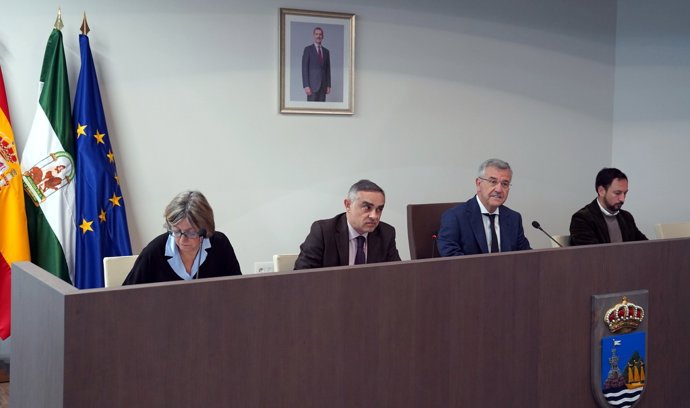 Pleno del Ayuntamiento de Estepona