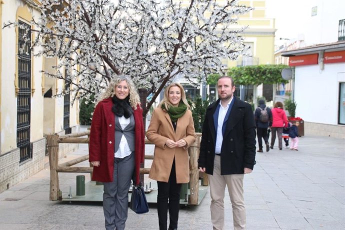 Alcalá da la bienvenida a la Navidad con el encendido del alumbrado y el gran árbol en la Plaza de la Almazara.