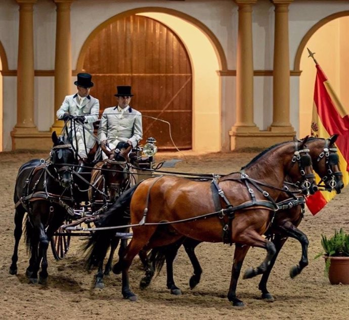 Espectáculo 'Cómo bailan los caballos andaluces' de la Real Escuela de Arte Ecuestre de Jerez