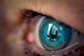 Foto: Los escáneres oculares desvelan el estado de la salud renal