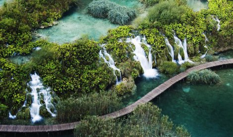 Comunicados Internacional