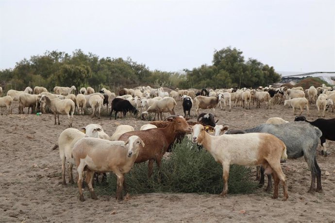 Fwd: Np Capadr  La Junta Concede Más De 6 M A 814 Actuaciones Contra La Sequía En Explotaciones Agropecuarias